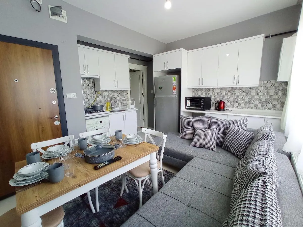 Cute Home Center Of Istanbul Apartment